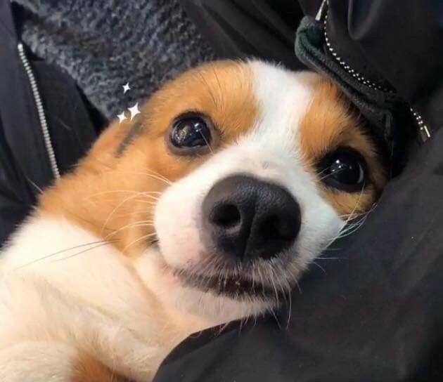 .