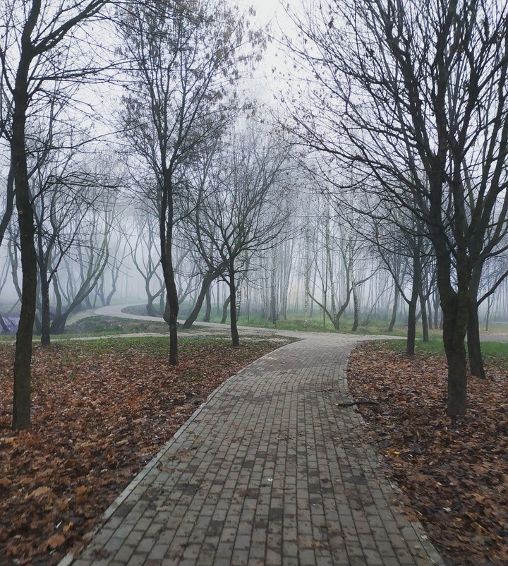 TREES