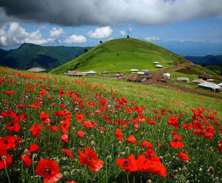 Talesh