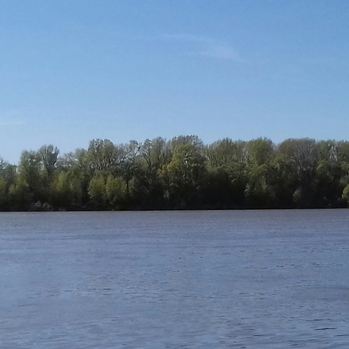 белаярека
