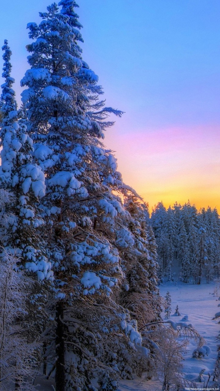 winter times