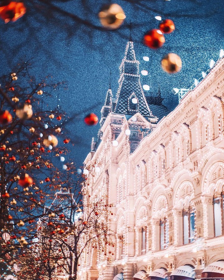 обои