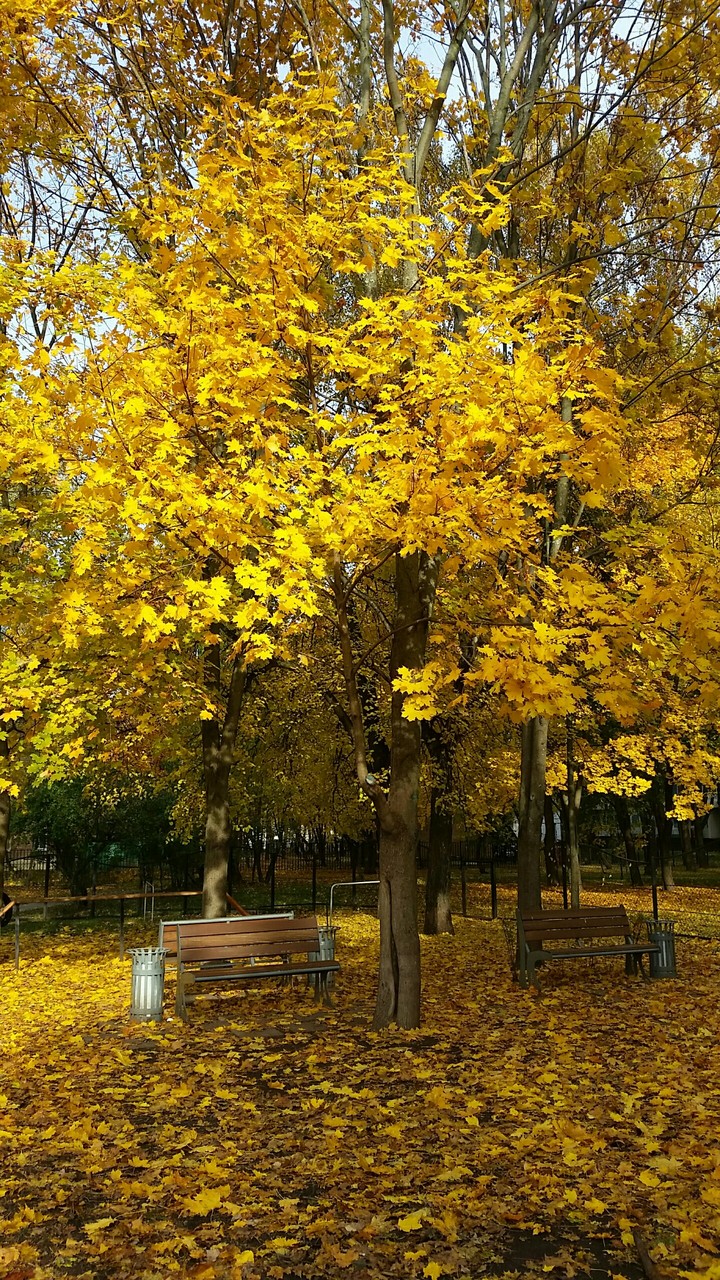 Indian summer