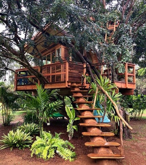 house