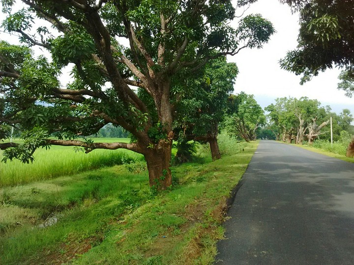 long ride