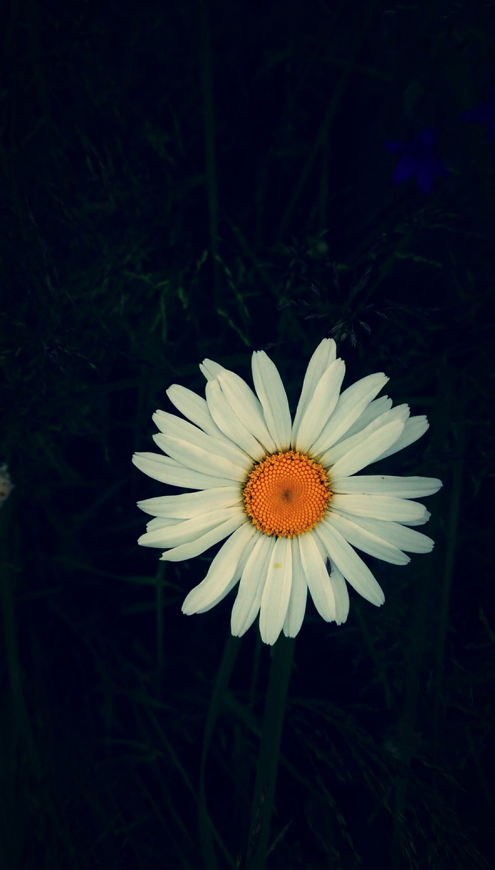 Nature