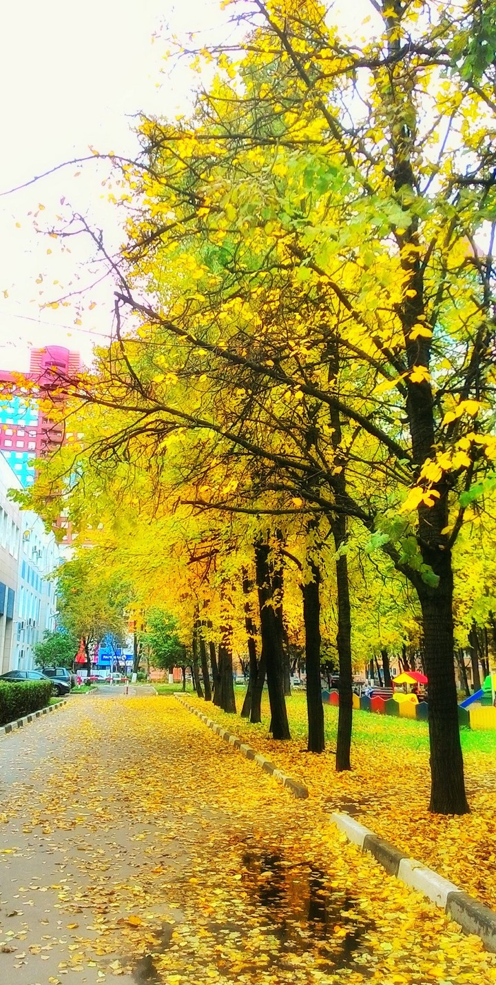 Autumn