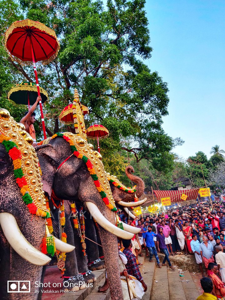 festival in kerala