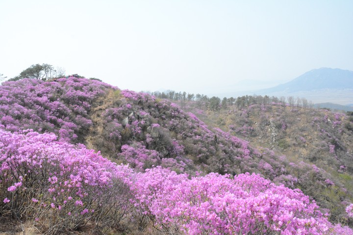 풍경이미지