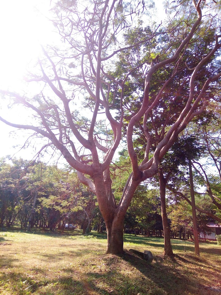 Breath~