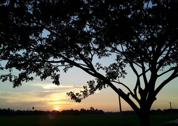 sunset