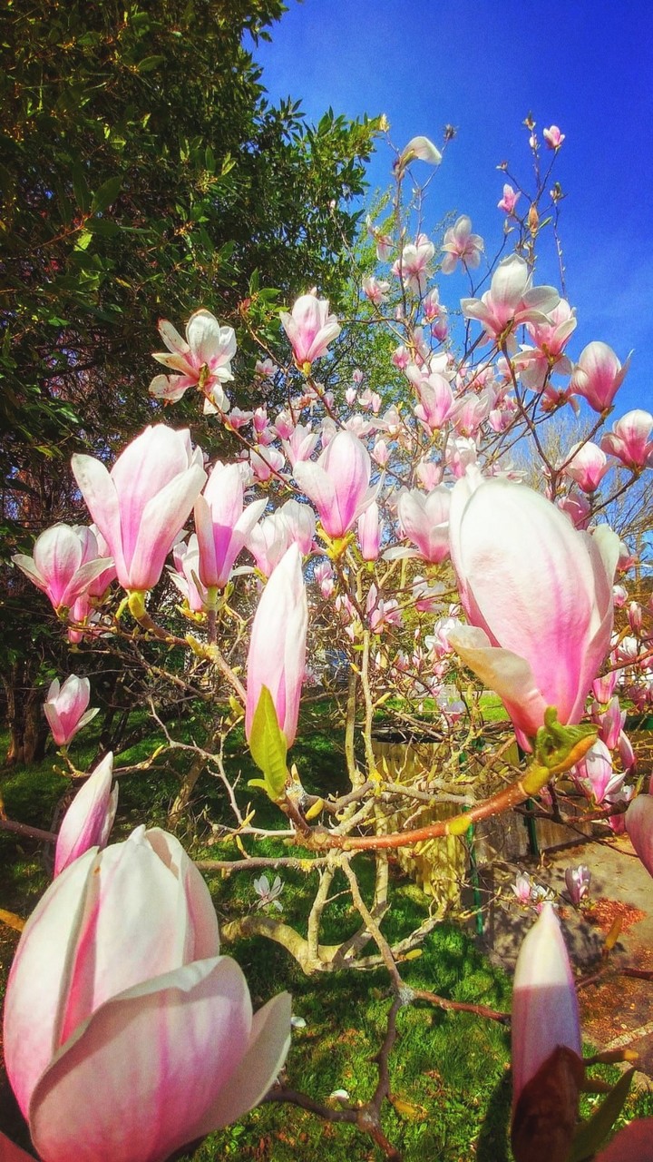 Primavera en Urretxu