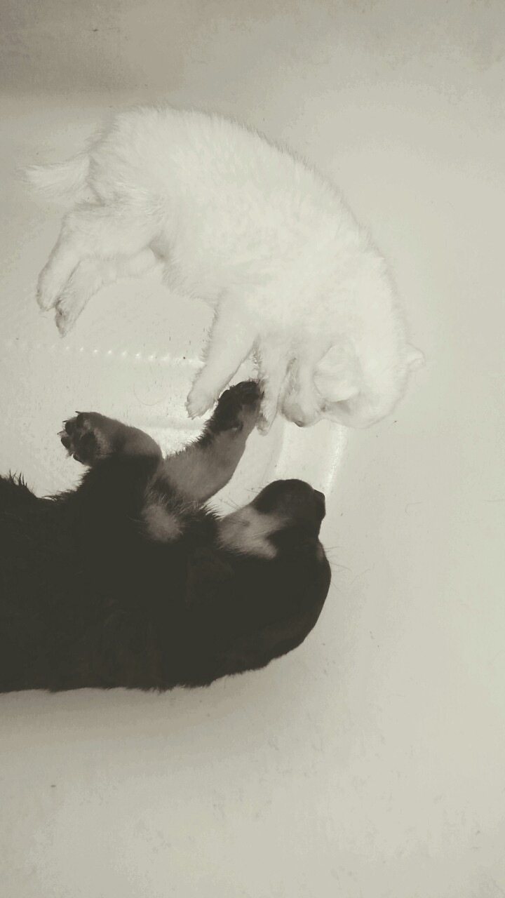 Black & White.