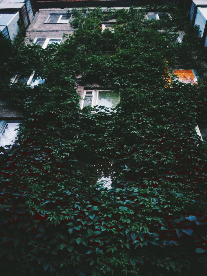 Deciduous house