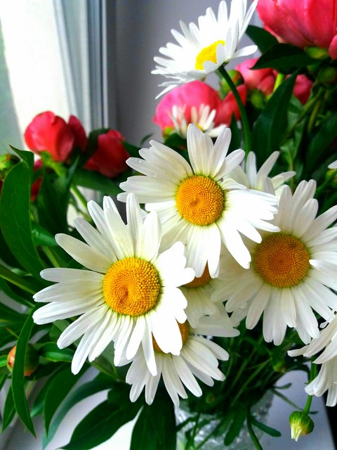 Bunch of flowers
