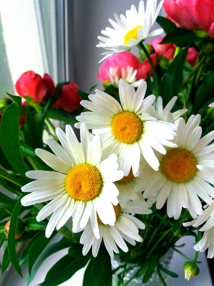 Bunch of flowers