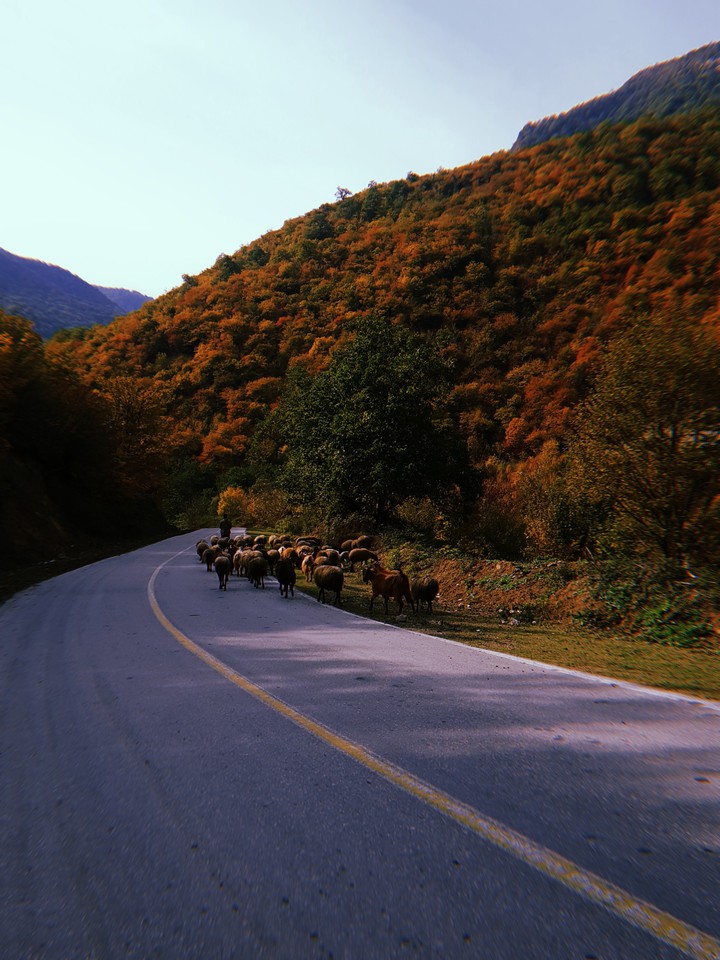 autumn