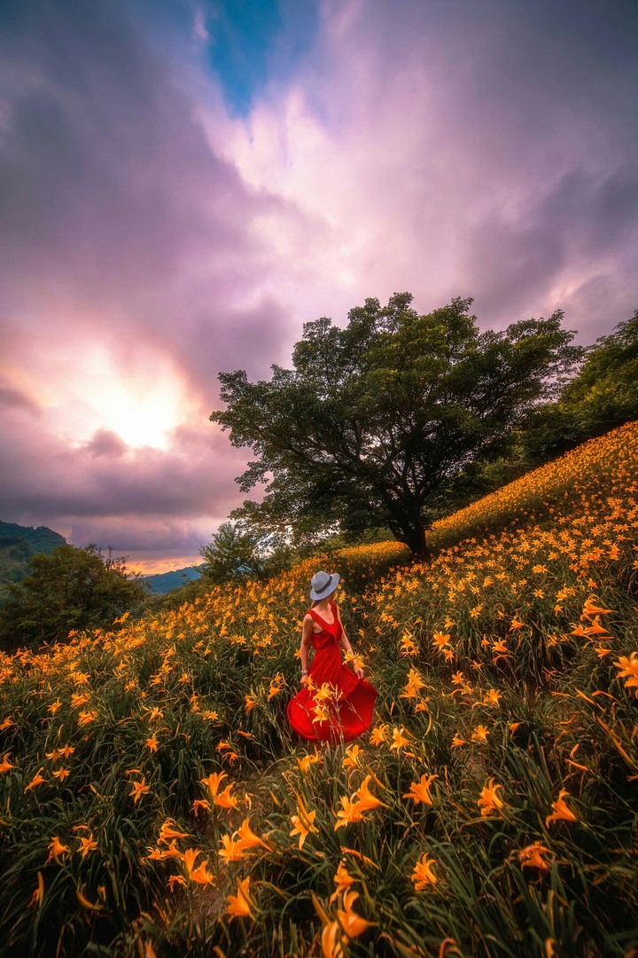 alone lady