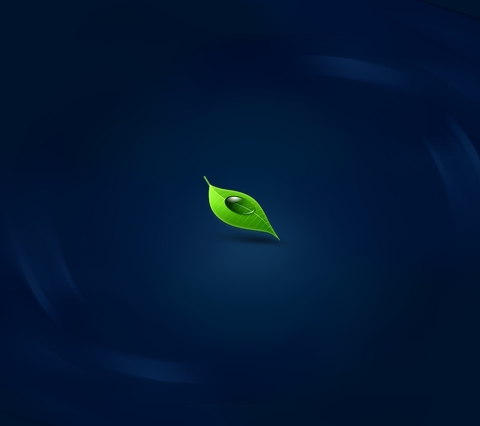 Leaf