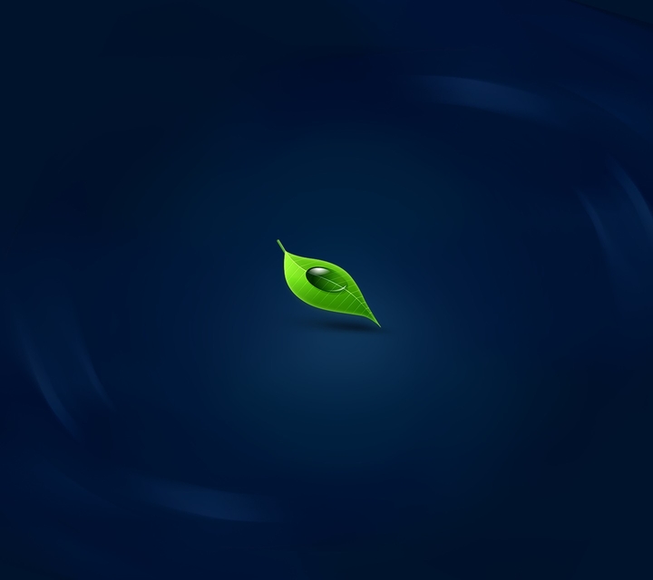 Leaf