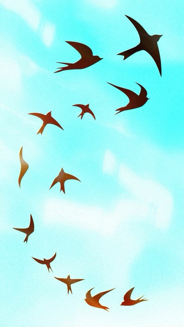 Birds in Flighr