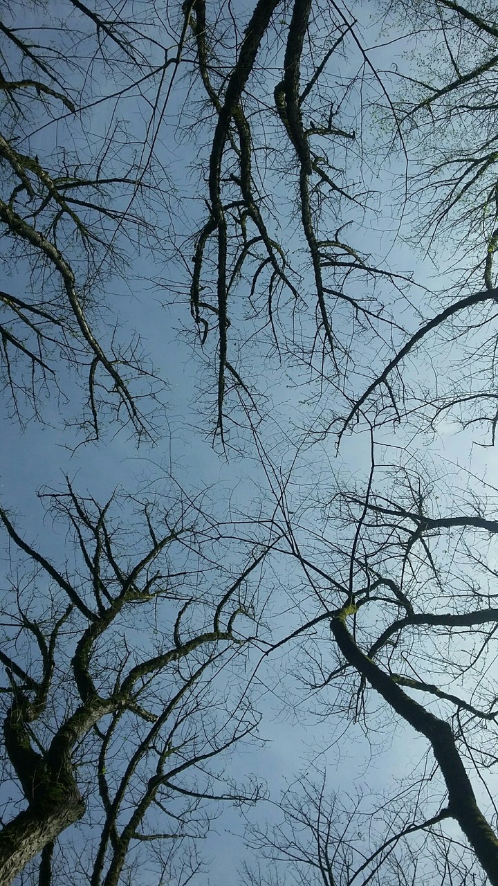 mazandaran.