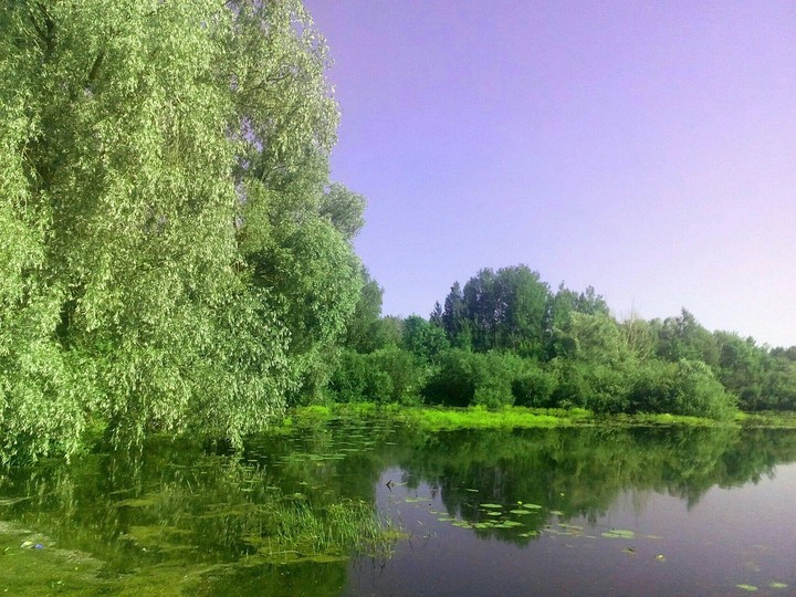 summertime
