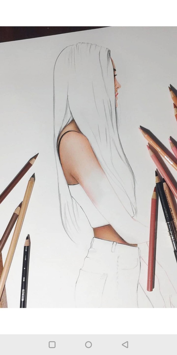sketch