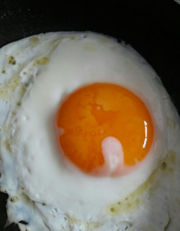 egg