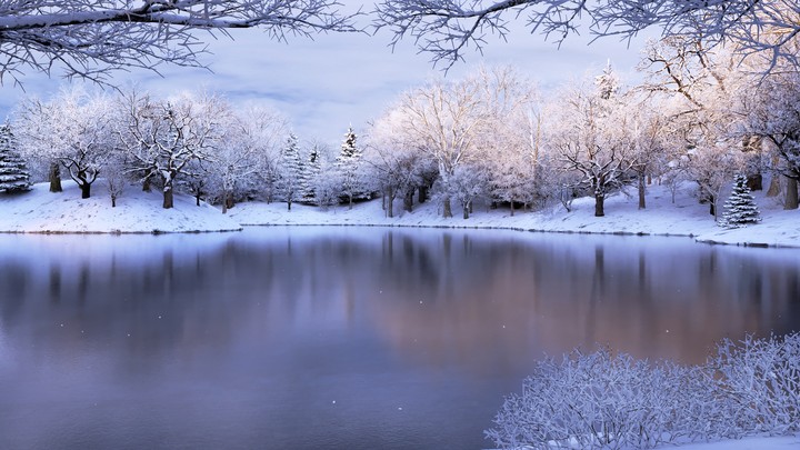 Winter Dreams