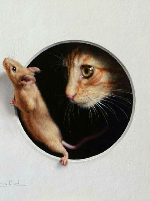 mouse, cat achtergronden