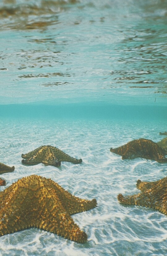 Mar