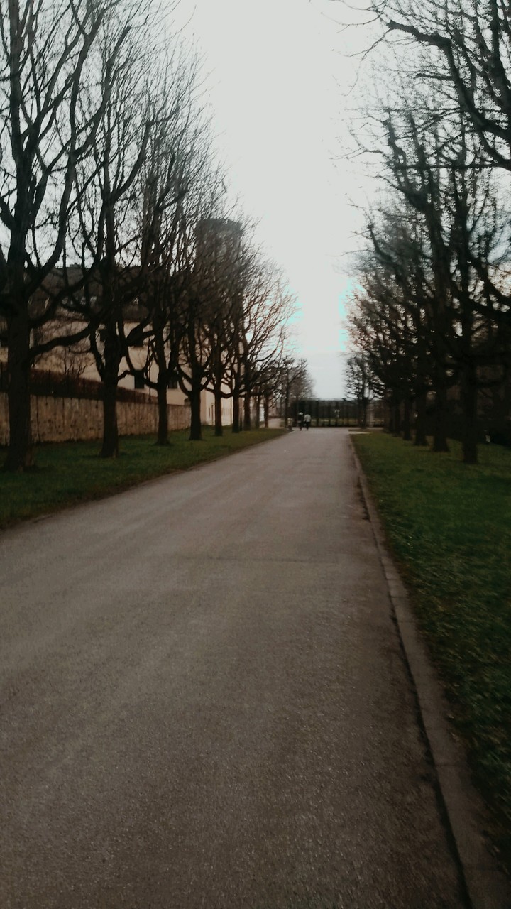 Schlosspark
