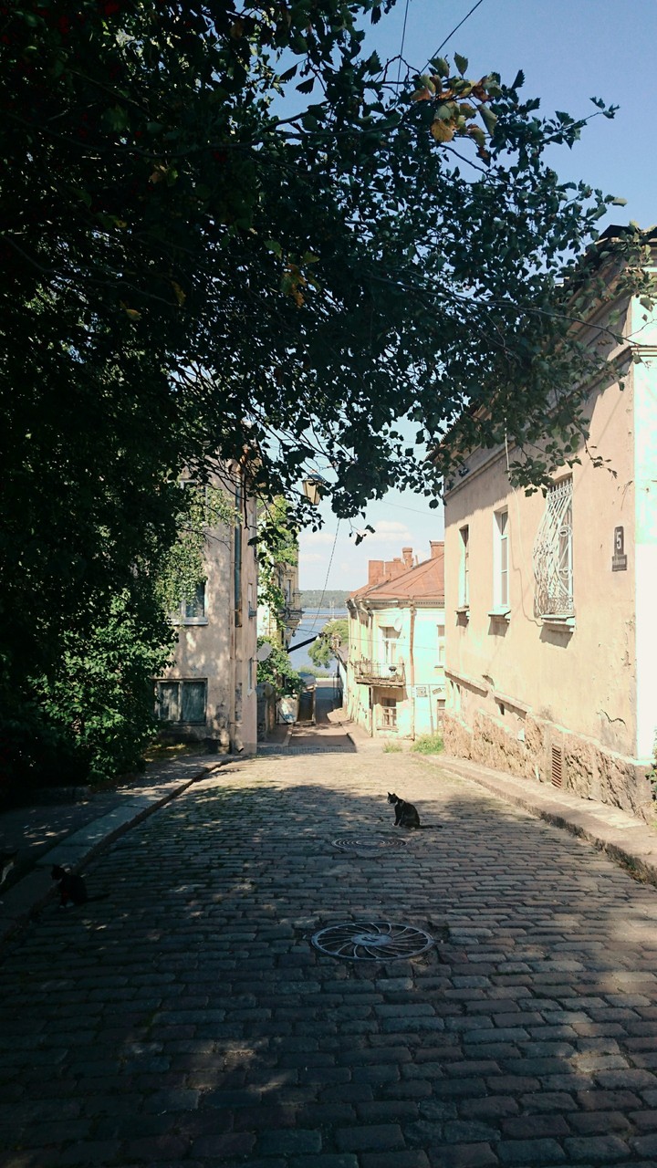 Viborg's lane