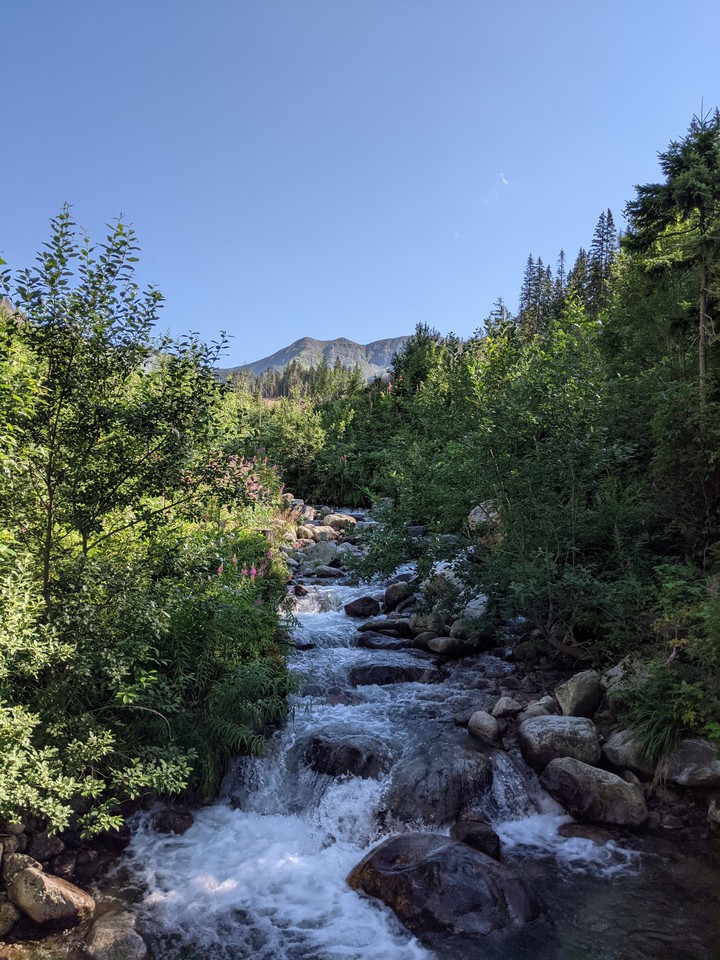 mountain river