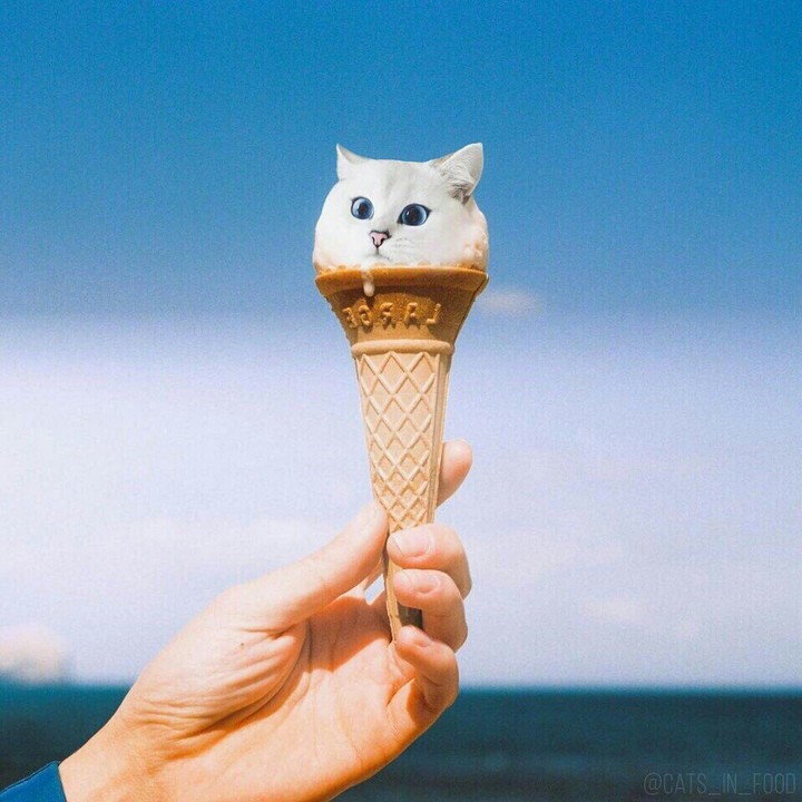 Котомороженое