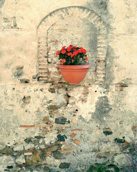 Spring