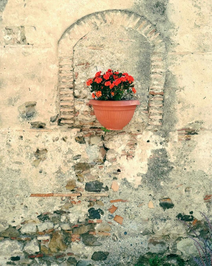 Spring