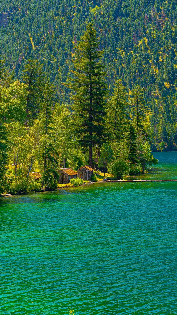 Nature's Beauty