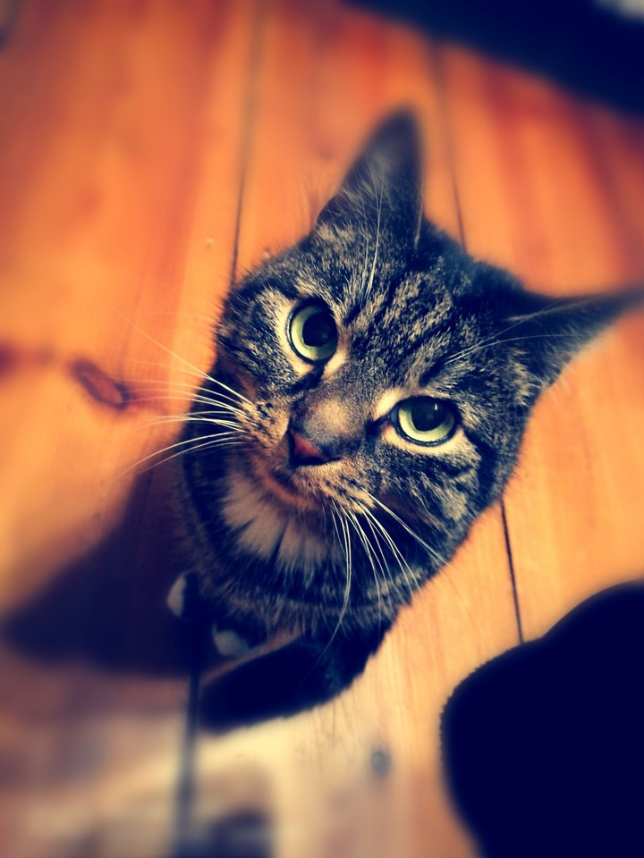 Jimmy