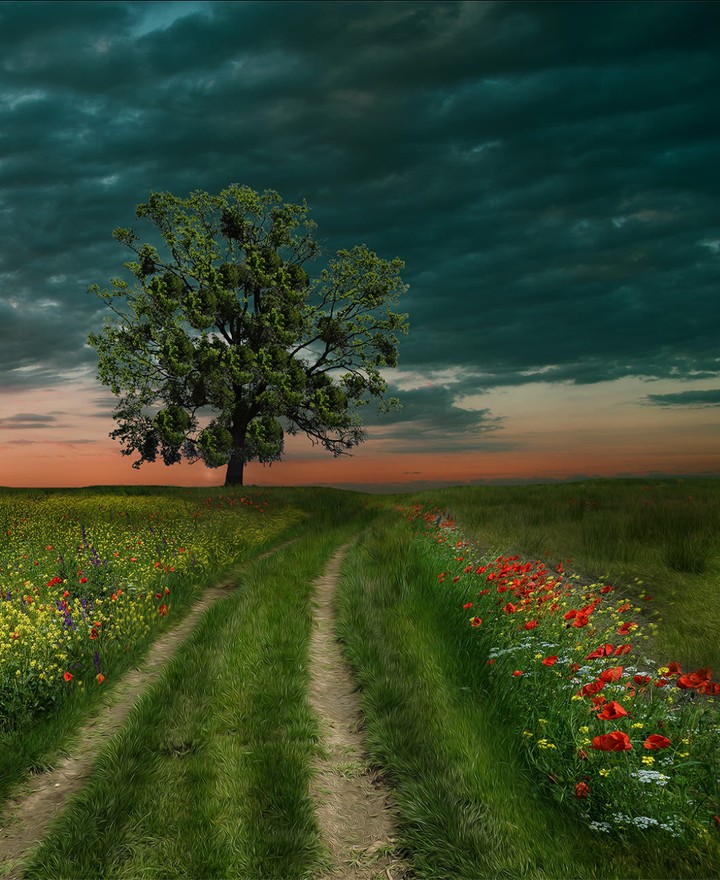 The Green Way