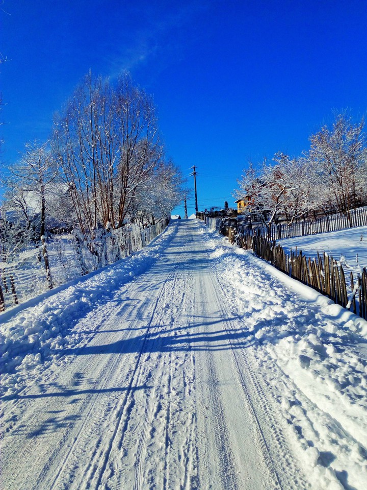 Winter