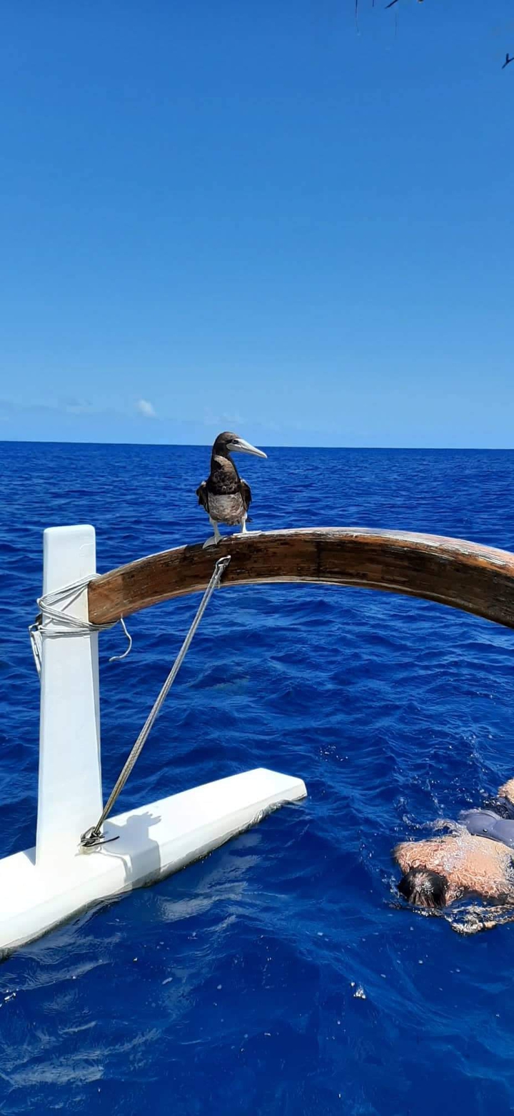 un mer à bora bora