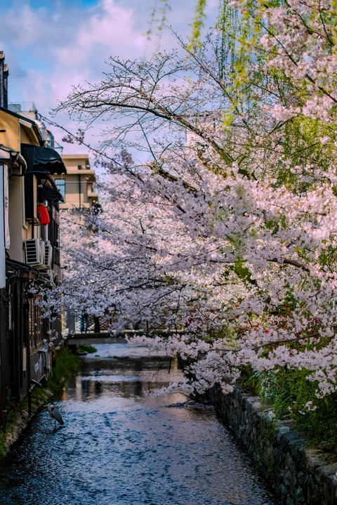 watercourse, stream wallpapers