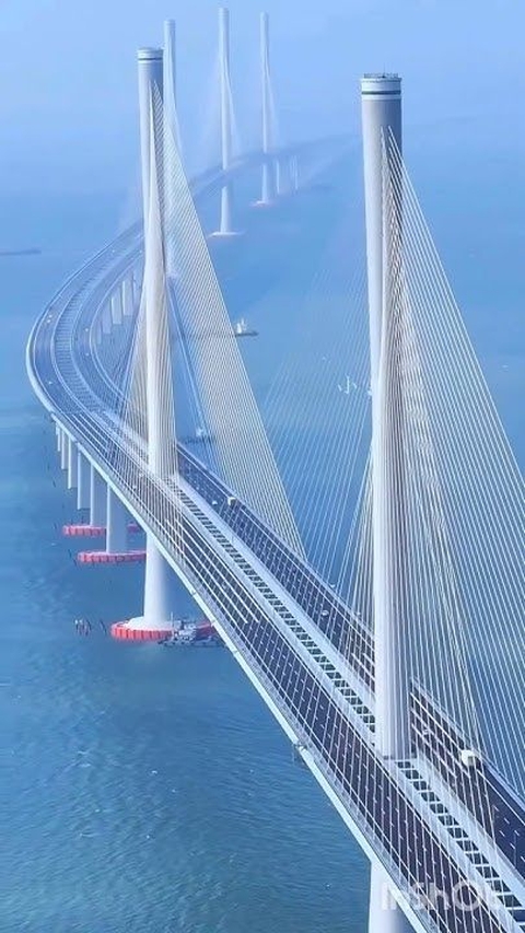 橋