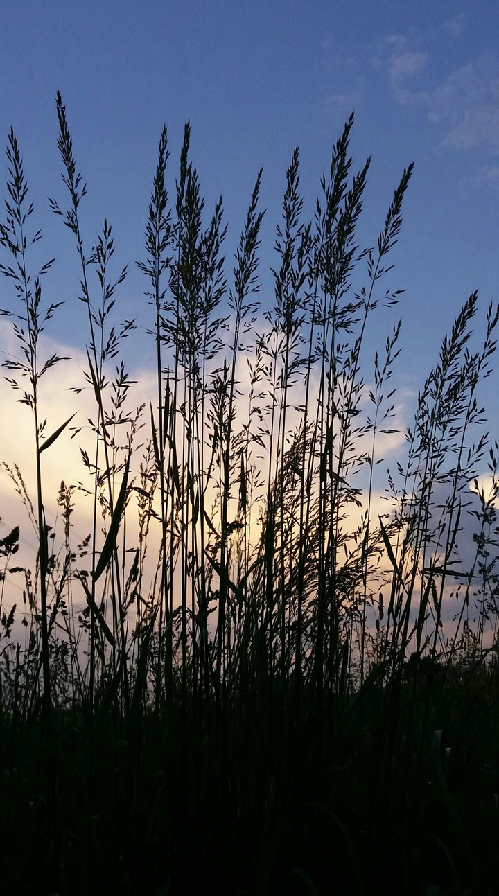 beautiful evening