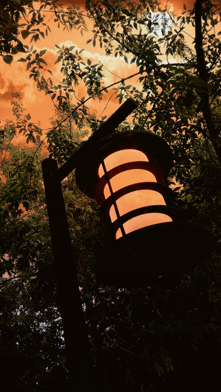 lamp