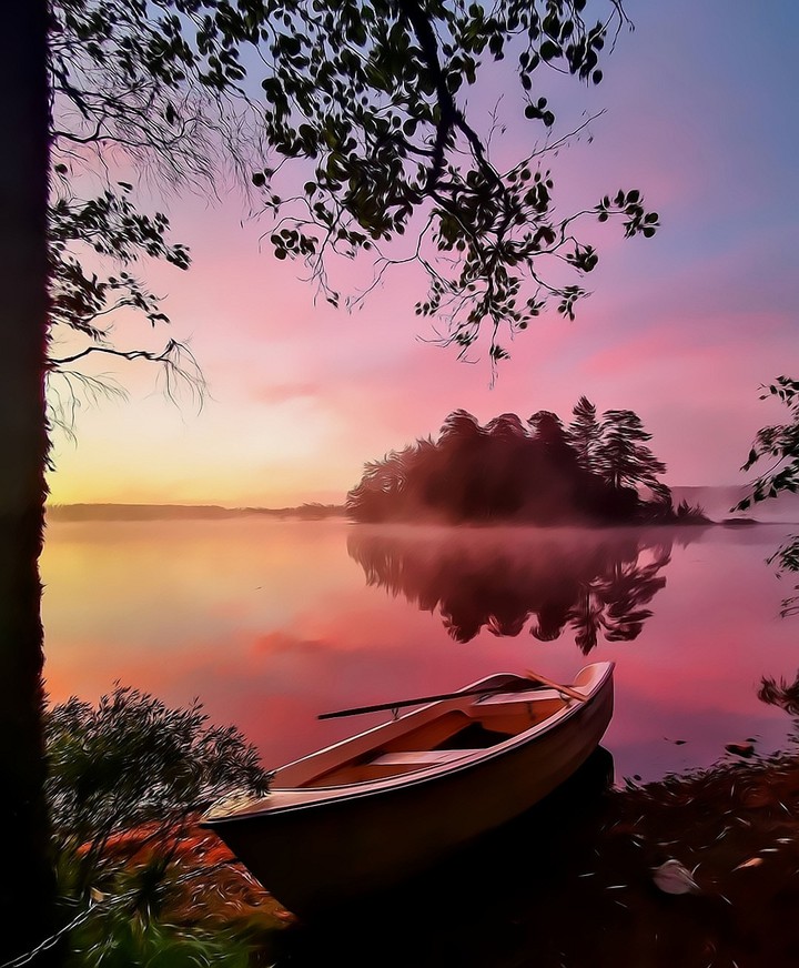 Nature's Beauty