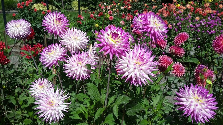 Nature's beauty