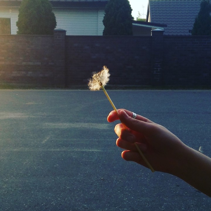 Beautiful and magic